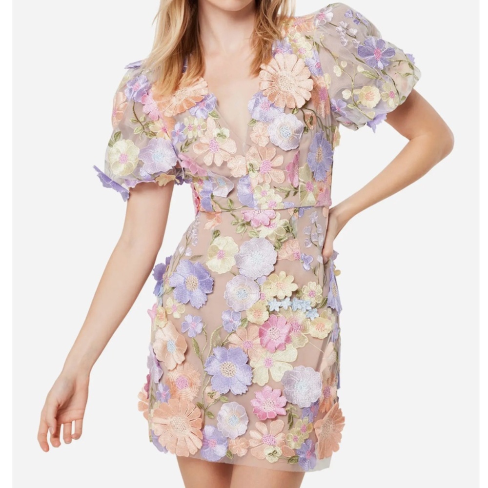 Elliatt Rosalind 3D Floral Embroidered Mini Dress – Pink/Multi – Size L